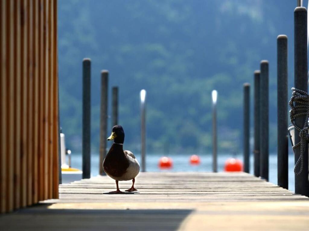 Little Garden-Villa Pörtschach am Wörthersee Dış mekan fotoğraf